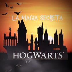 Logotipo del show de magia secreta interpretado por el mago profesional Eduardo Aviña